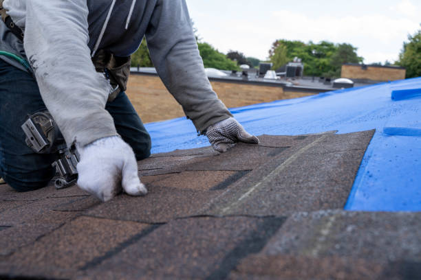 Best Storm Damage Roof Repair  in Bonne Terre, MO